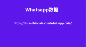 Whatsapp数据